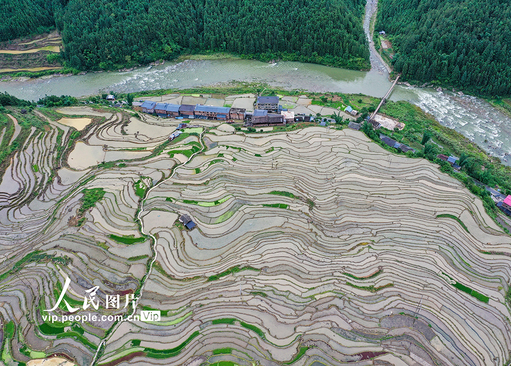 貴州從江:夏日鄉村田園美【5】