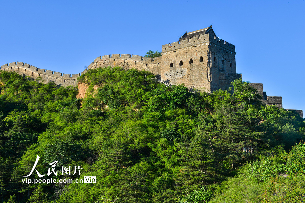 河北灤平:綠染長城景色如畫【2】