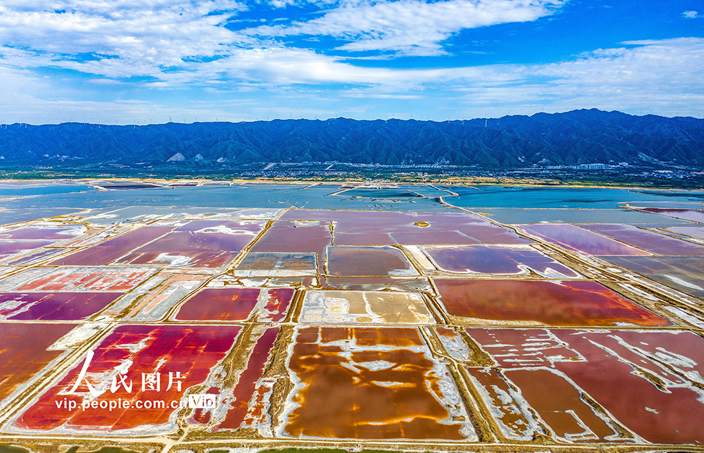 山西運城：夏季鹽湖色斑斕【3】