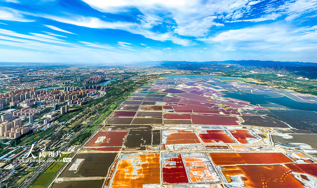 山西運城:夏季鹽湖色斑斕【4】