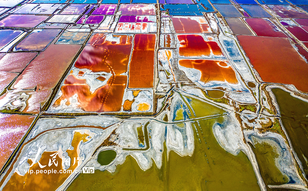 山西運城：夏季鹽湖色斑斕【5】