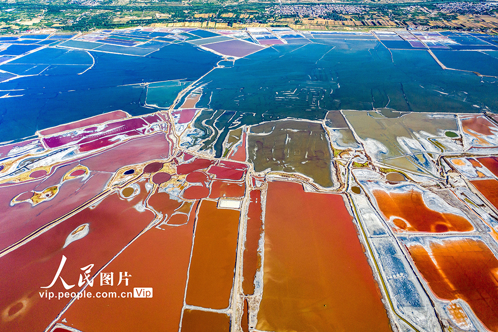 山西運城:夏季鹽湖色斑斕【6】