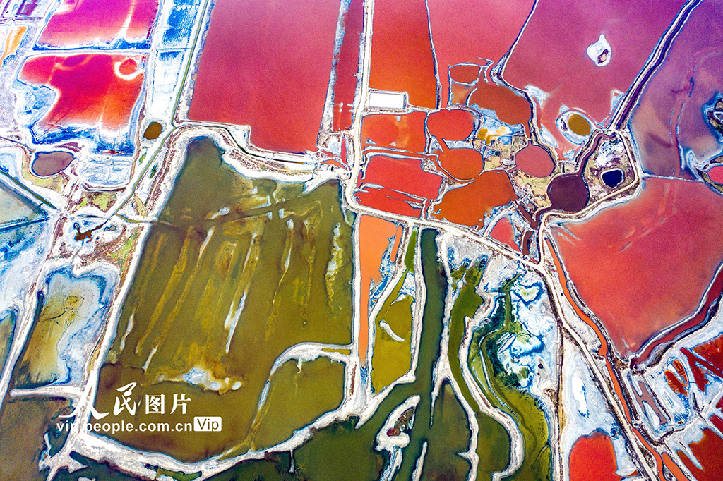 山西運城：夏季鹽湖色斑斕【7】