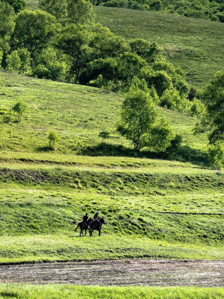 6月5日，游客在內蒙古大青山國家級自然保護區騎馬。