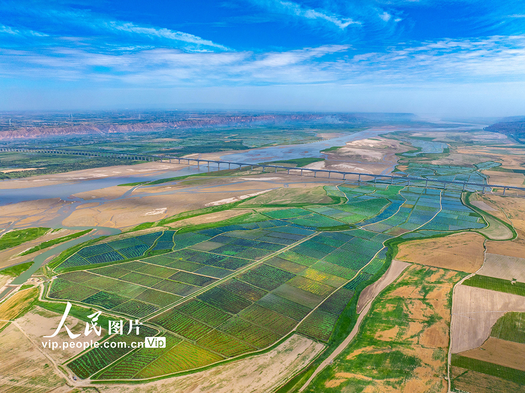 山西永濟:生態水產養殖助力鄉村振興【2】