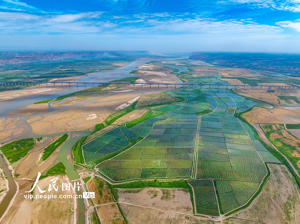山西永濟:生態水產養殖助力鄉村振興【3】