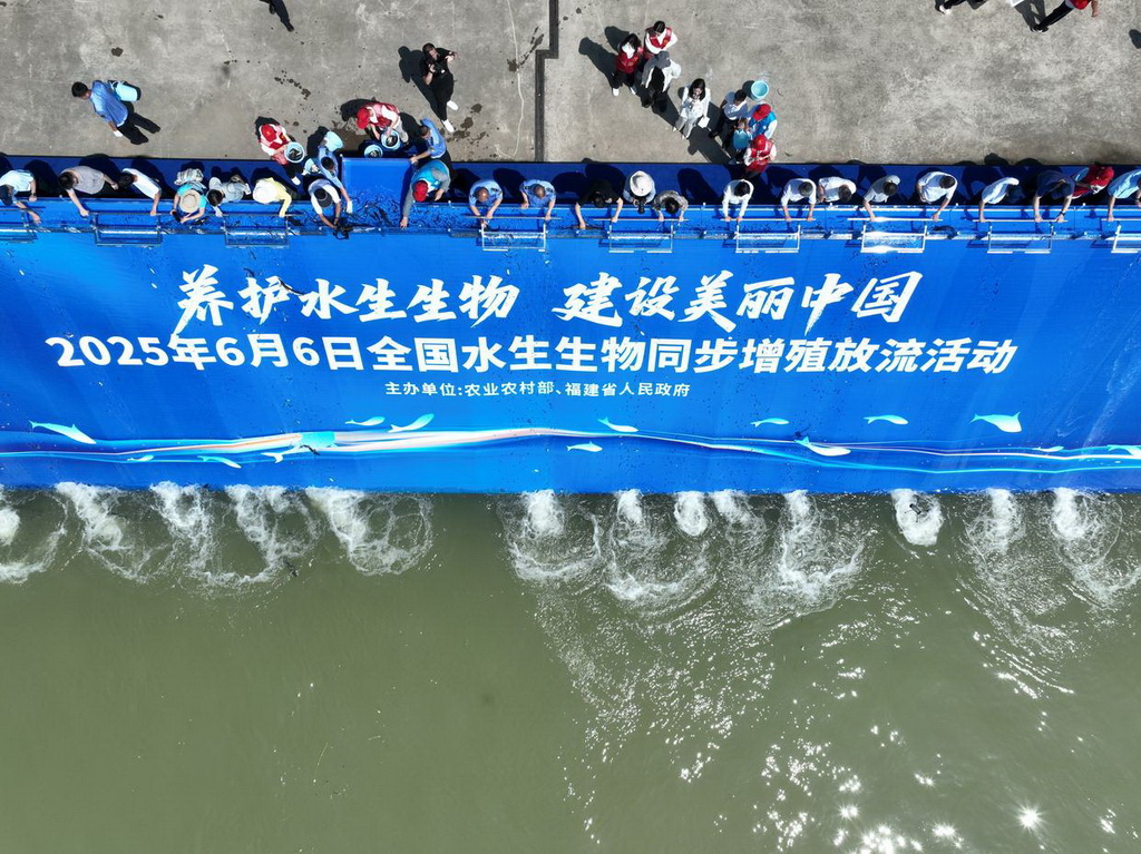 6月6日，在福建省福州市閩江入?？谂e行的全國水生生物同步增殖放流主會場活動中，嘉賓在投放魚苗（無人機照片）。