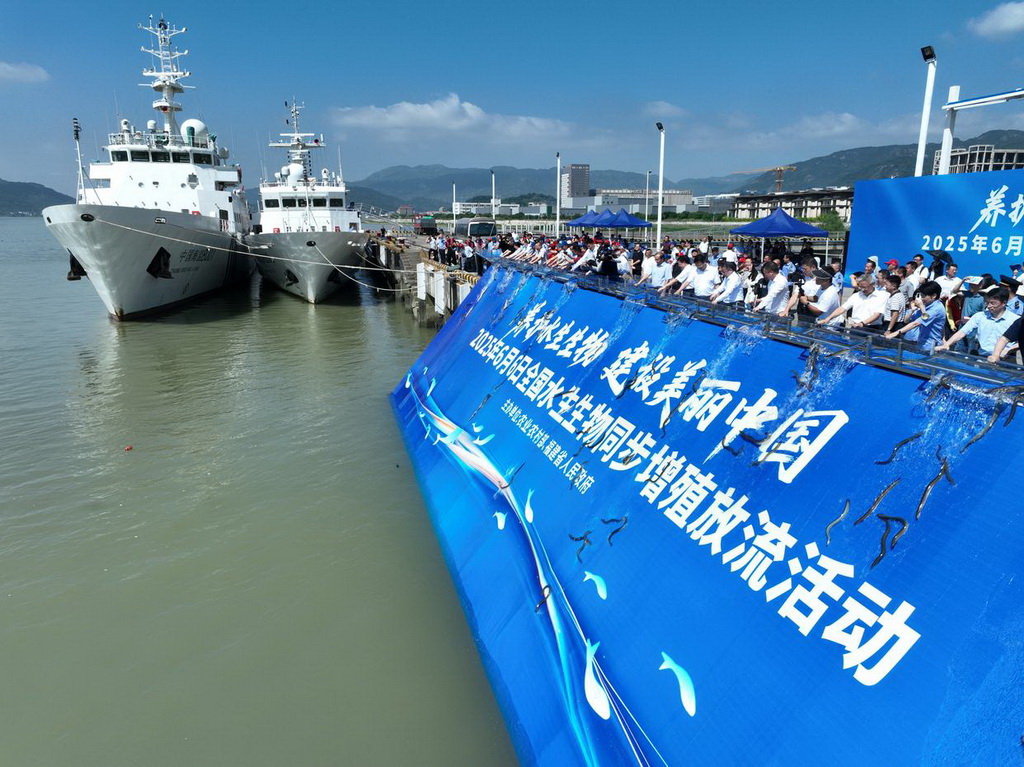 6月6日，在福建省福州市閩江入?？谂e行的全國水生生物同步增殖放流主會場活動中，嘉賓在投放魚苗（無人機照片）。