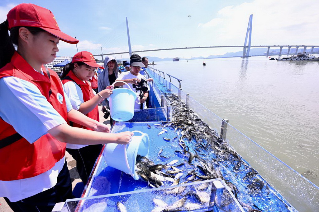 6月6日，在福建省福州市閩江入?？谂e行的全國水生生物同步增殖放流主會場活動中，志愿者將魚苗轉移至放流槽。