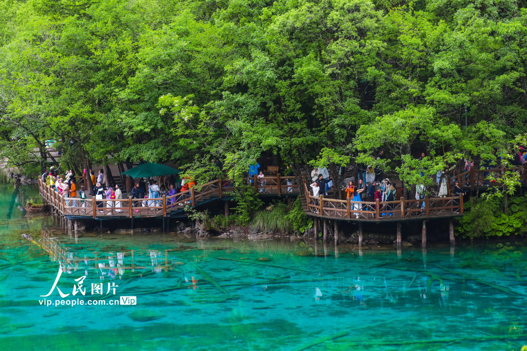 四川阿壩：九寨溝綠意盎然