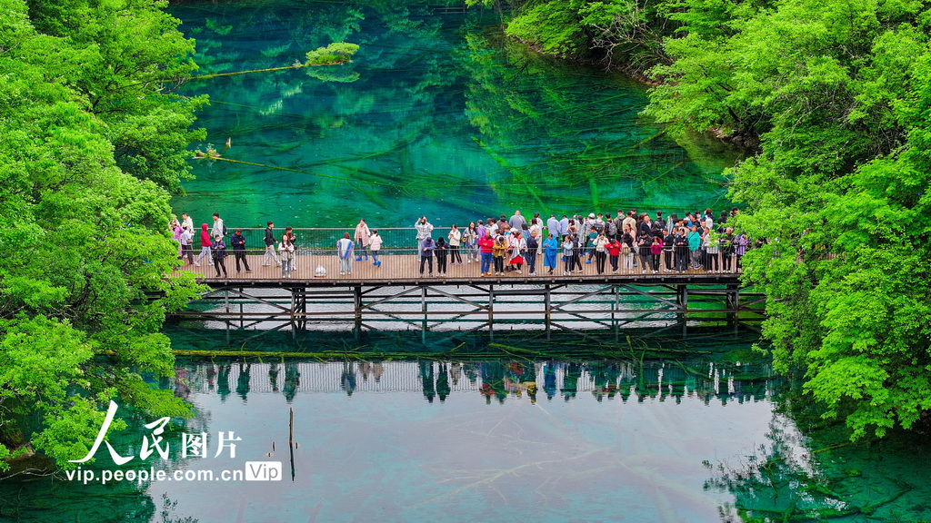 四川阿壩:九寨溝綠意盎然【2】