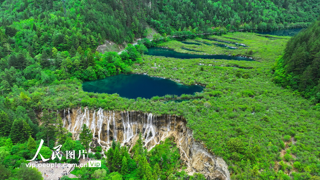 四川阿壩:九寨溝綠意盎然【3】