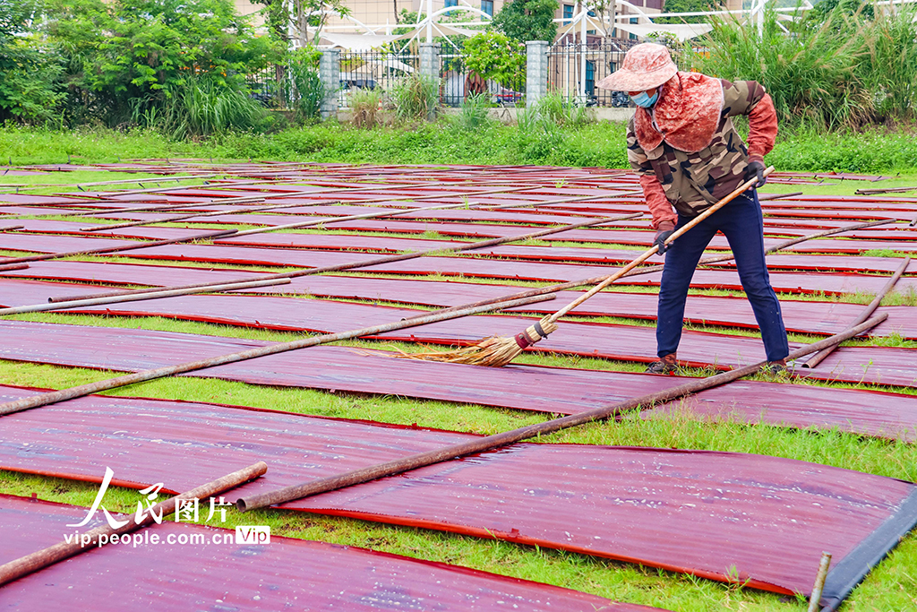 廣西蒙山:天晴晾曬香云紗【2】