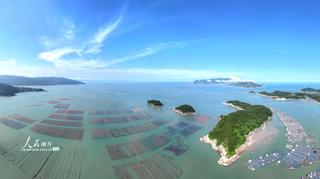 福建霞浦：海洋牧場養殖作業