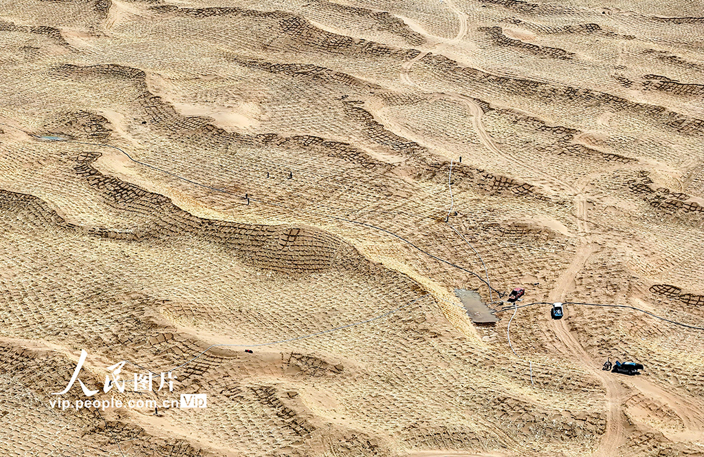 甘肅民勤380公里環綠洲鎖邊林帶閉環圍合【7】