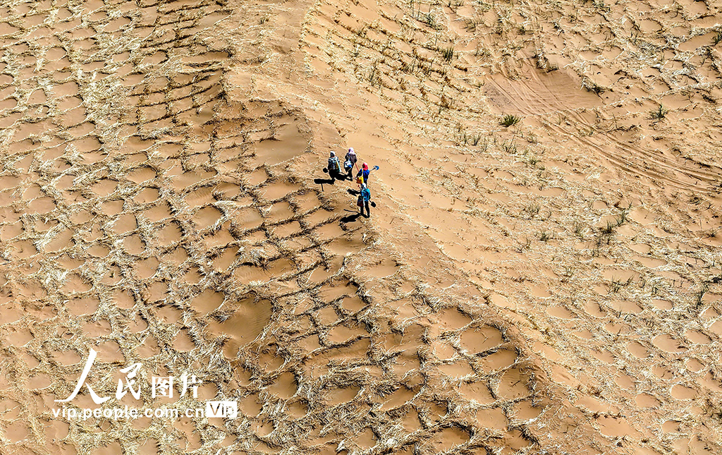 甘肅民勤380公里環綠洲鎖邊林帶閉環圍合【2】