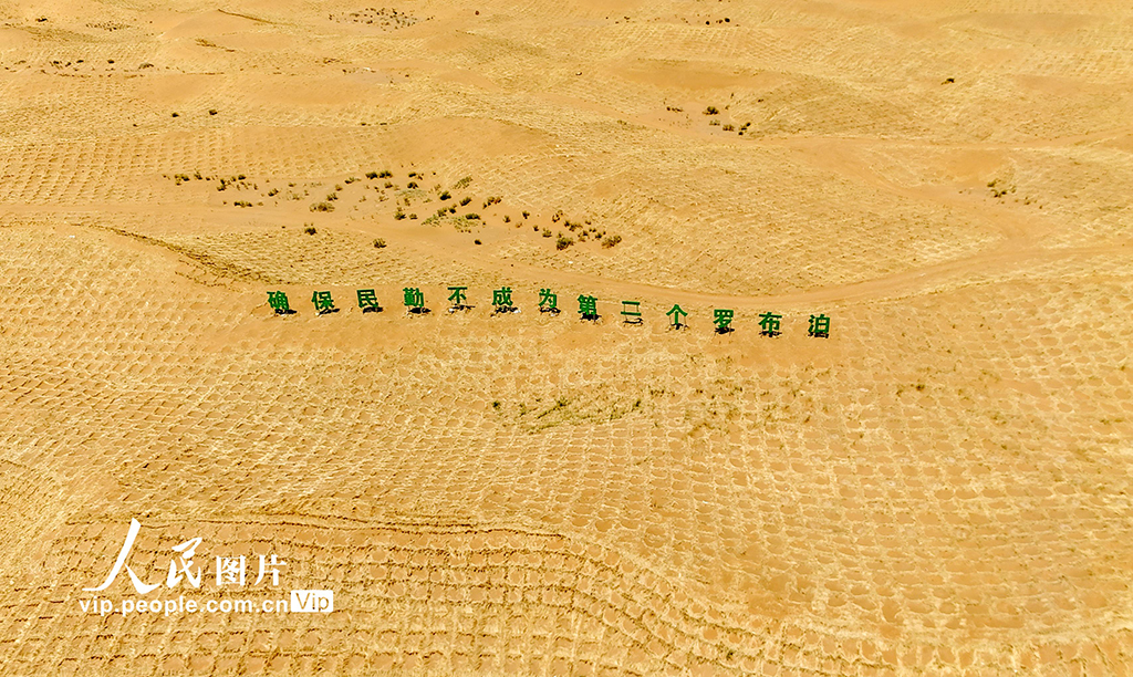 甘肅民勤380公里環綠洲鎖邊林帶閉環圍合【4】