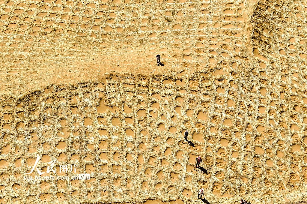 甘肅民勤380公里環綠洲鎖邊林帶閉環圍合【9】