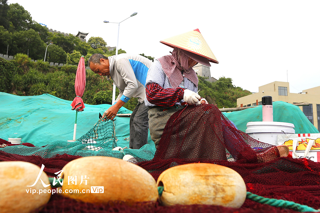 浙江玉環:伏休季補網【4】