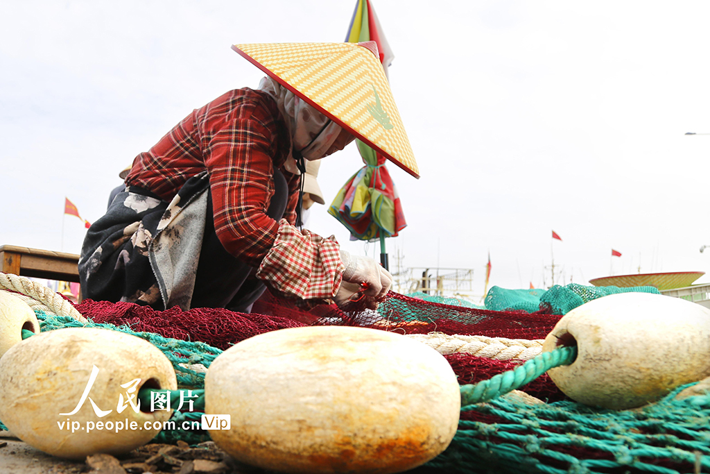 浙江玉環:伏休季補網【5】