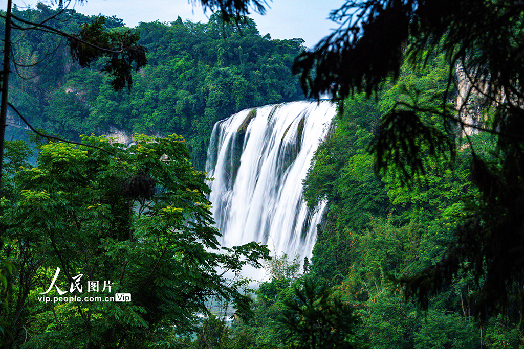 貴州安順：豐水期黃果樹瀑布場面壯觀【2】