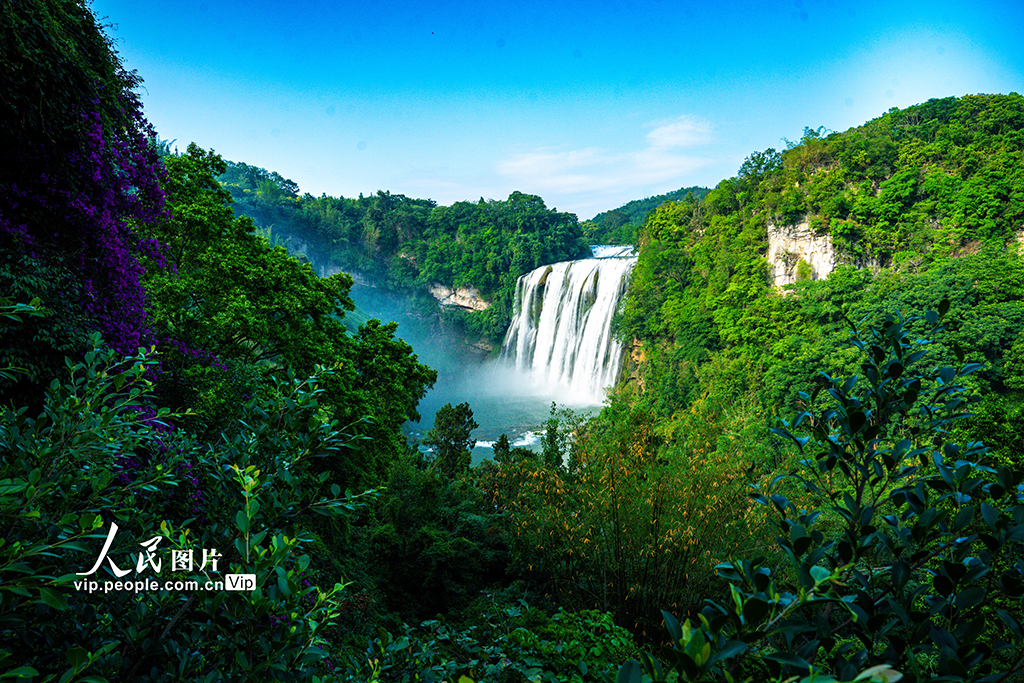 貴州安順：豐水期黃果樹瀑布場面壯觀【3】