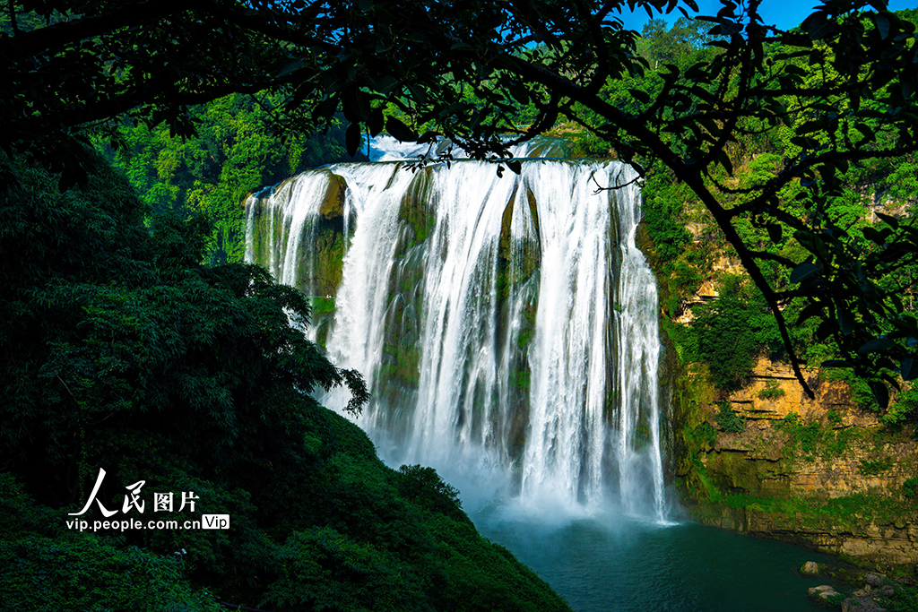 貴州安順：豐水期黃果樹瀑布場面壯觀【5】