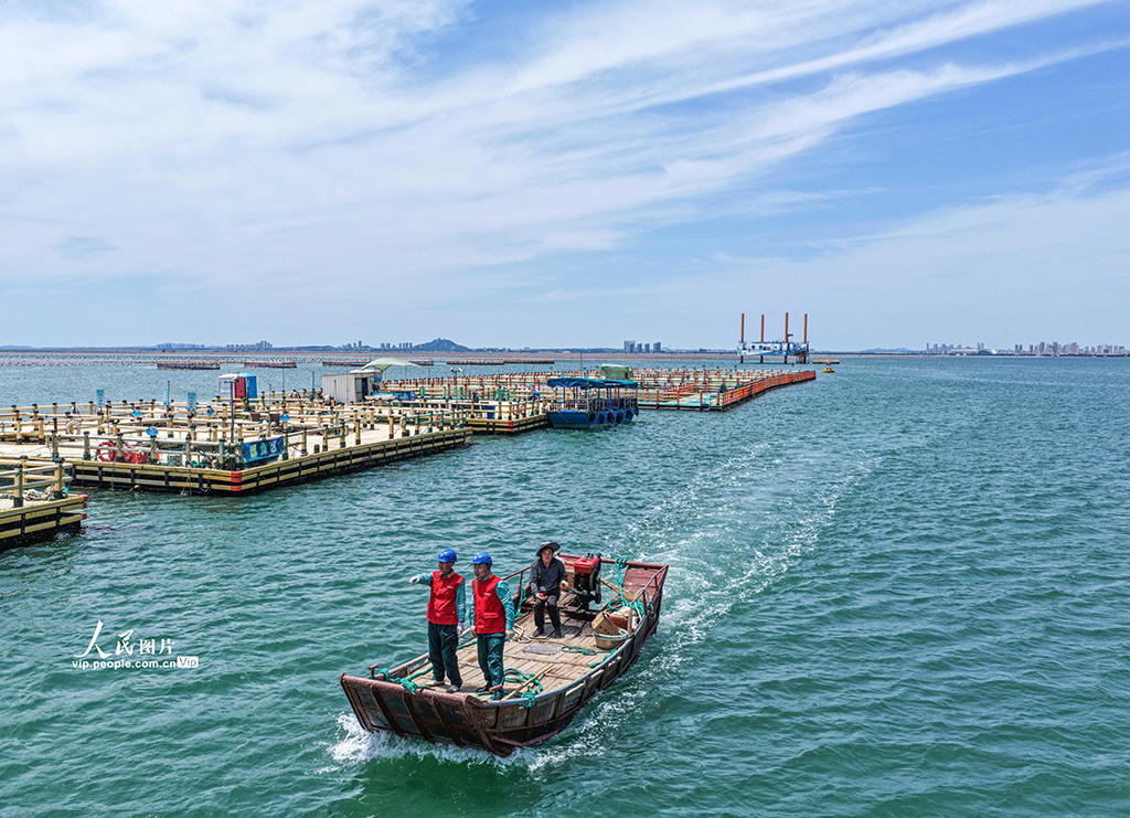 山東榮成:電力巡檢為海洋牧場“護航”【4】
