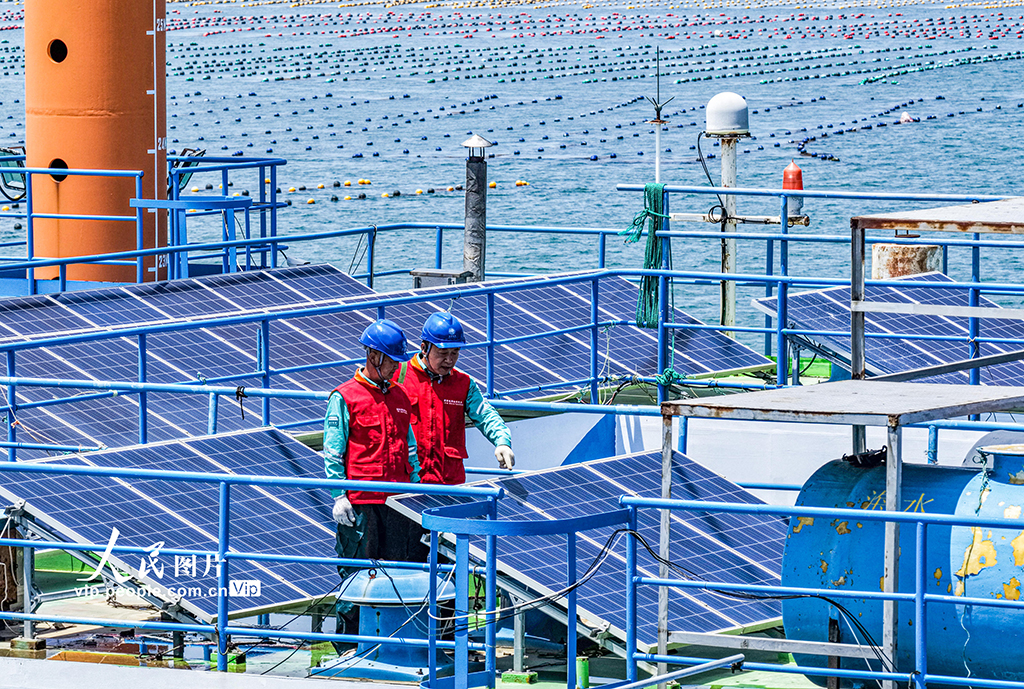 山東榮成:電力巡檢為海洋牧場“護航”【5】