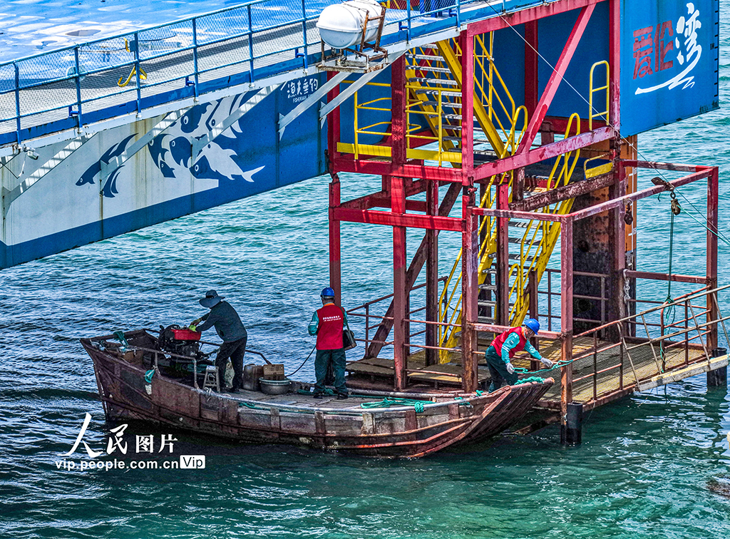 山東榮成:電力巡檢為海洋牧場“護航”【8】