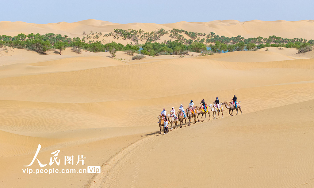 新疆尉犁：羅布湖美景如畫【5】