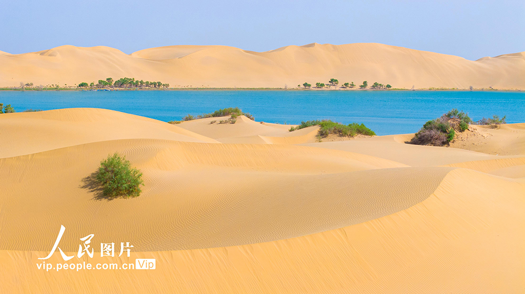 新疆尉犁：羅布湖美景如畫【6】