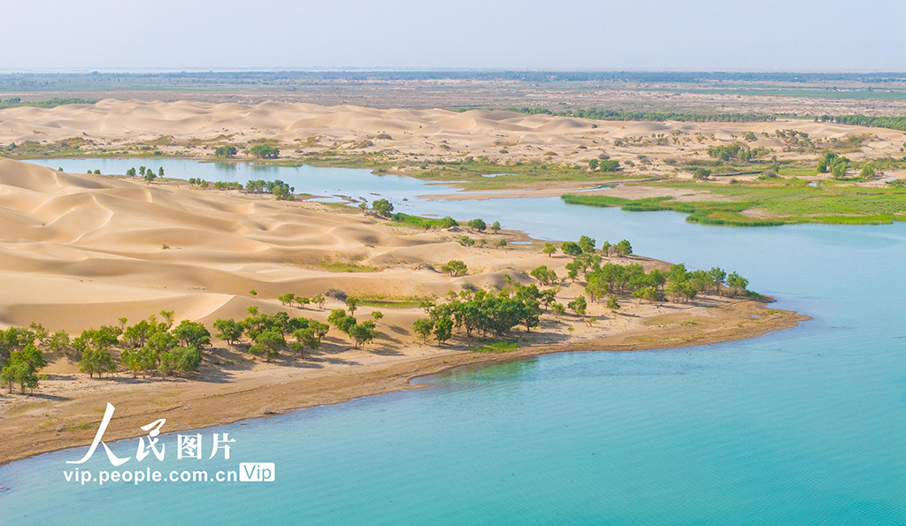 新疆尉犁：羅布湖美景如畫【7】