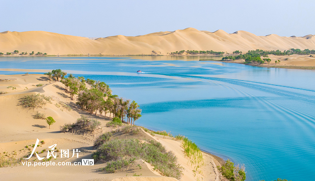 新疆尉犁：羅布湖美景如畫【8】