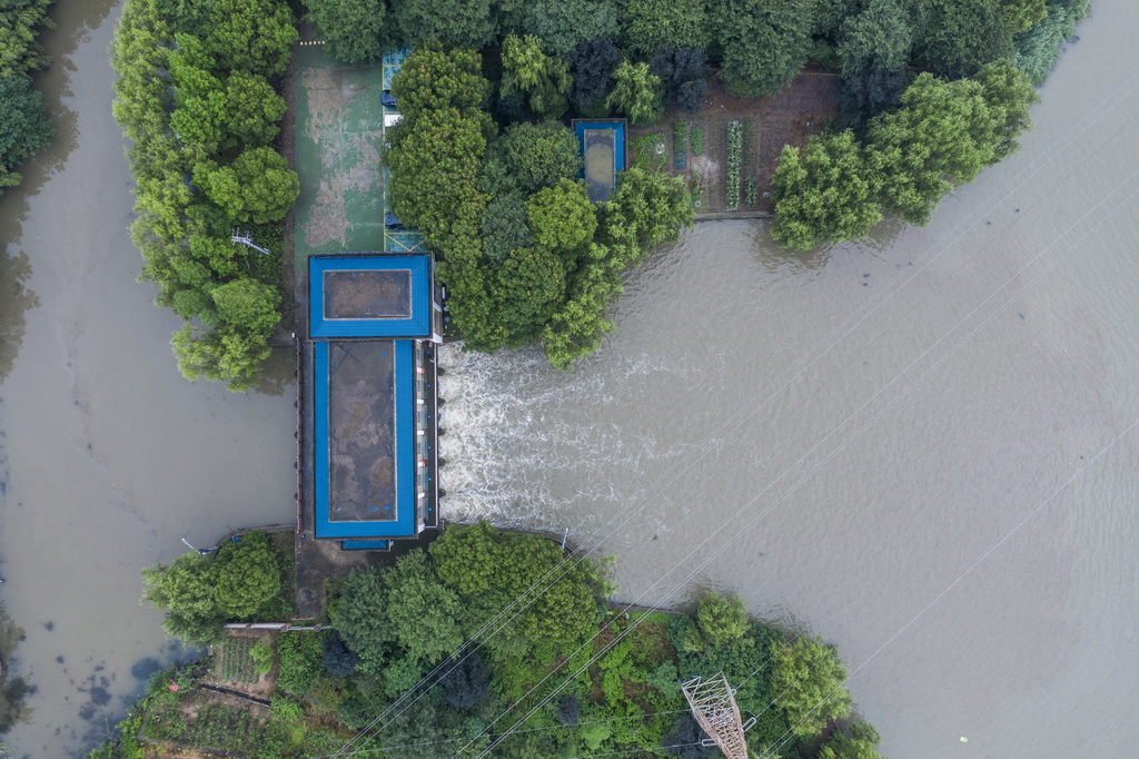 6月11日，嘉興市南湖區大橋鎮十八里圩區夏義港泵站在排澇（無人機照片）。