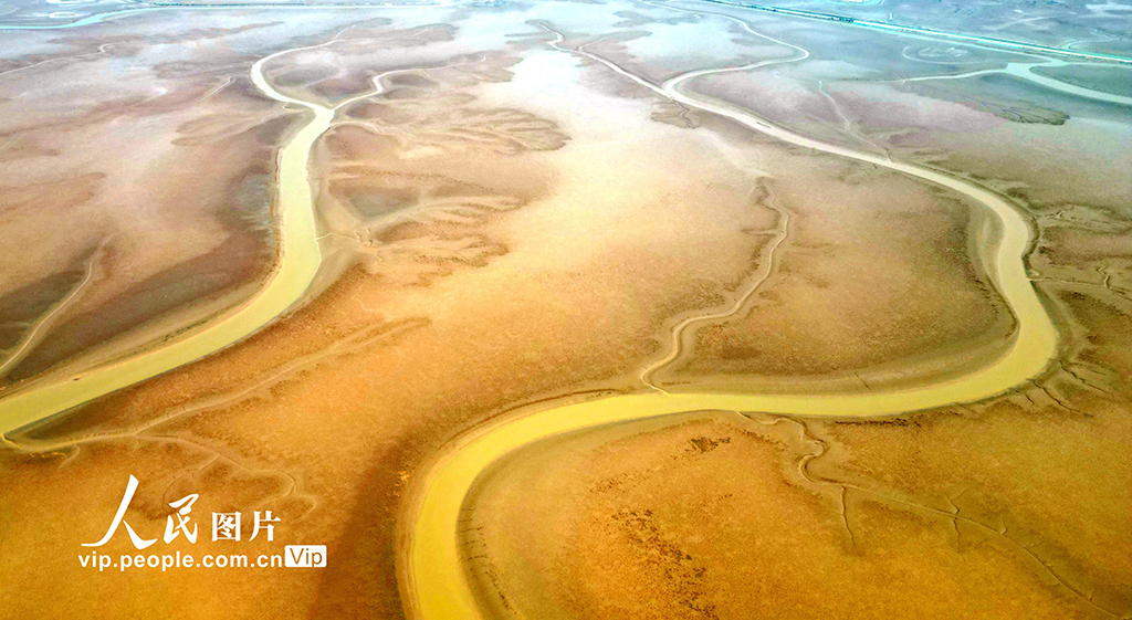 山東東營:生態濕地美如畫【4】