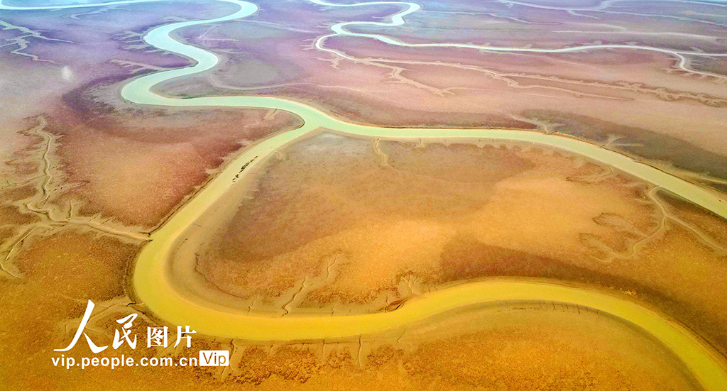 山東東營:生態濕地美如畫【7】