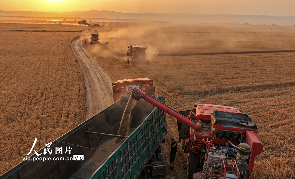 山西運城:黃河灘涂農業生產忙【2】
