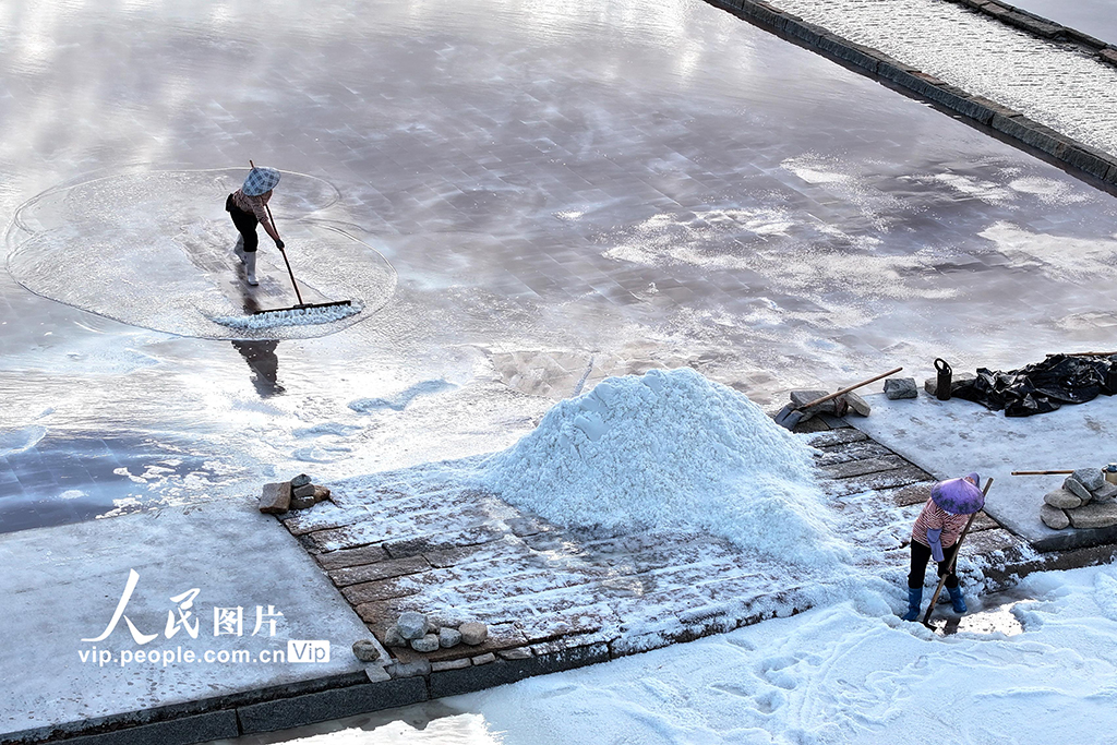 福建泉港：夏日收鹽忙【2】