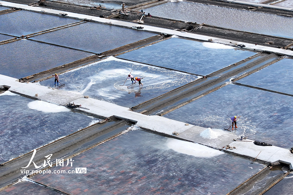 福建泉港：夏日收鹽忙【3】