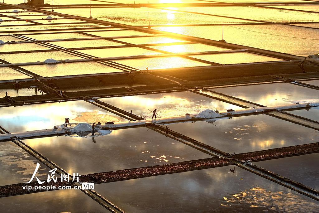 福建泉港：夏日收鹽忙【8】