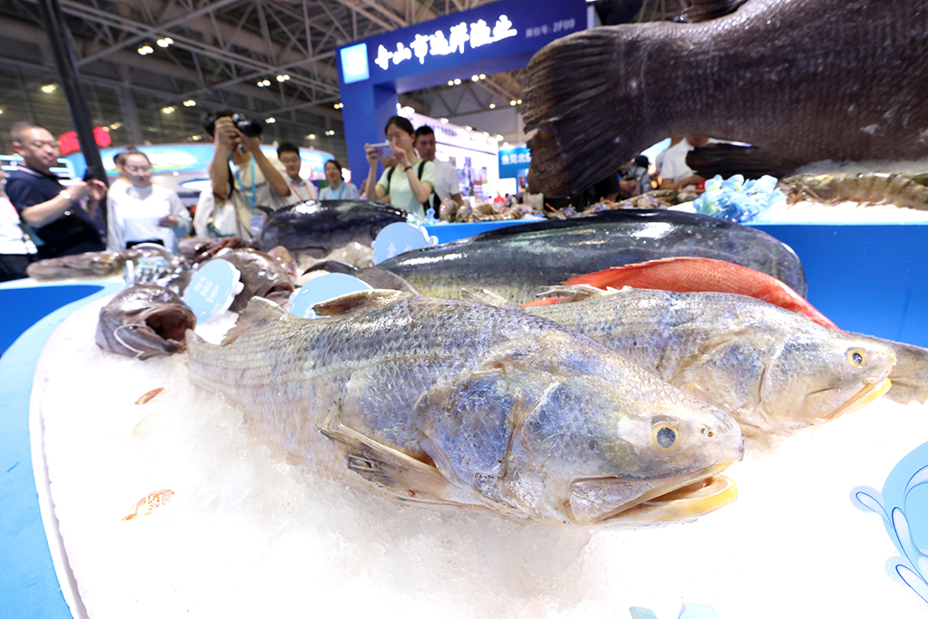 福建福州：漁業周·漁博會開幕【3】