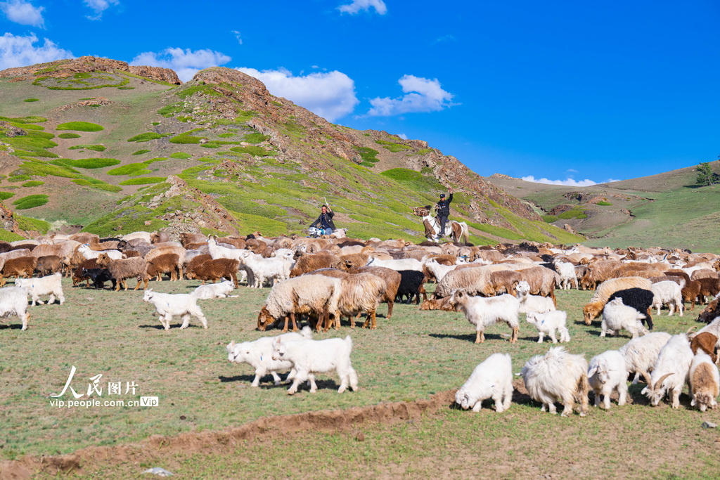 2025年6月13日，民警護送牧民及其牲畜轉場。