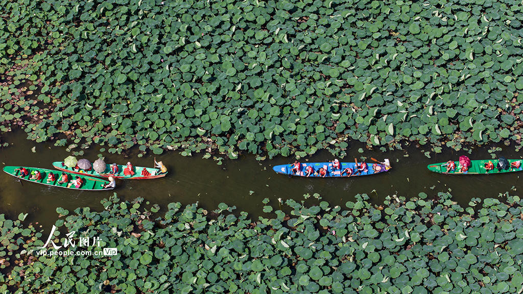 云南丘北：普者黑國家濕地公園風景秀美【5】