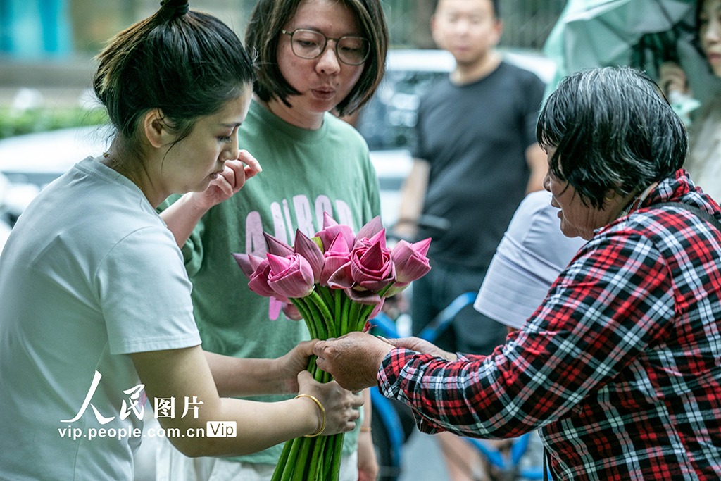 江蘇蘇州:荷花市集開市【3】