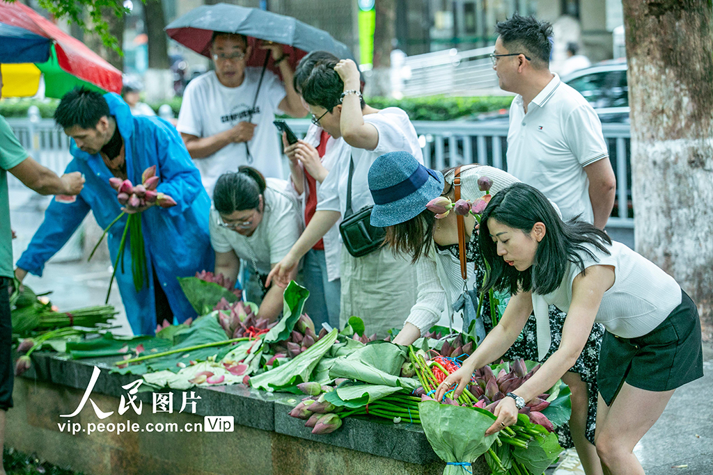 江蘇蘇州:荷花市集開市【4】