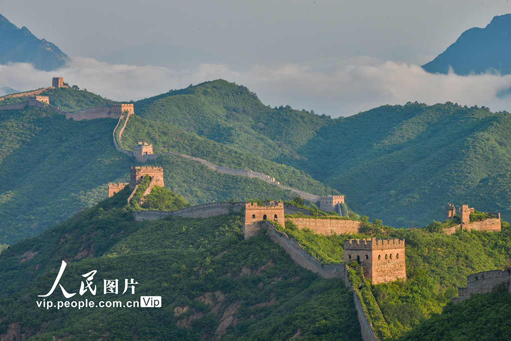 河北灤平：金山嶺長城晨景美如畫