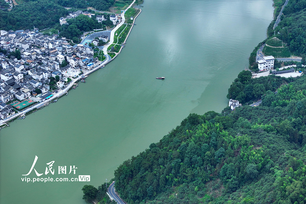 安徽歙縣:夏日新安江景美如畫【3】