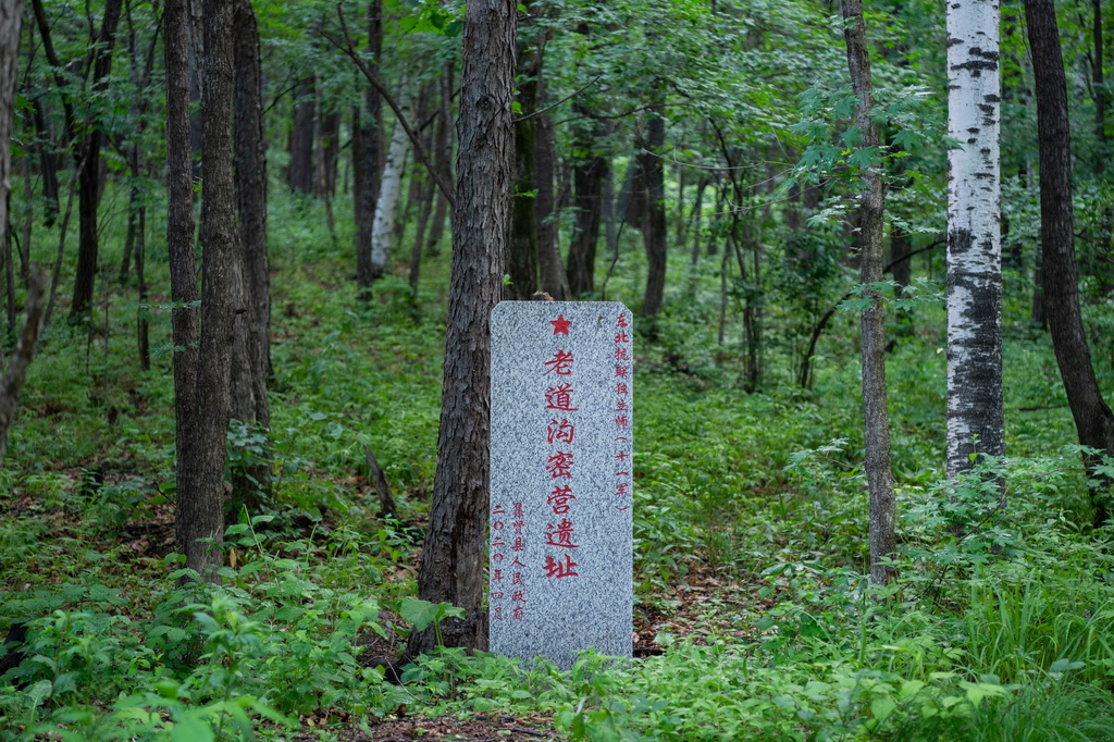 這是6月17日拍攝的七星砬子抗聯密營遺址一角。
