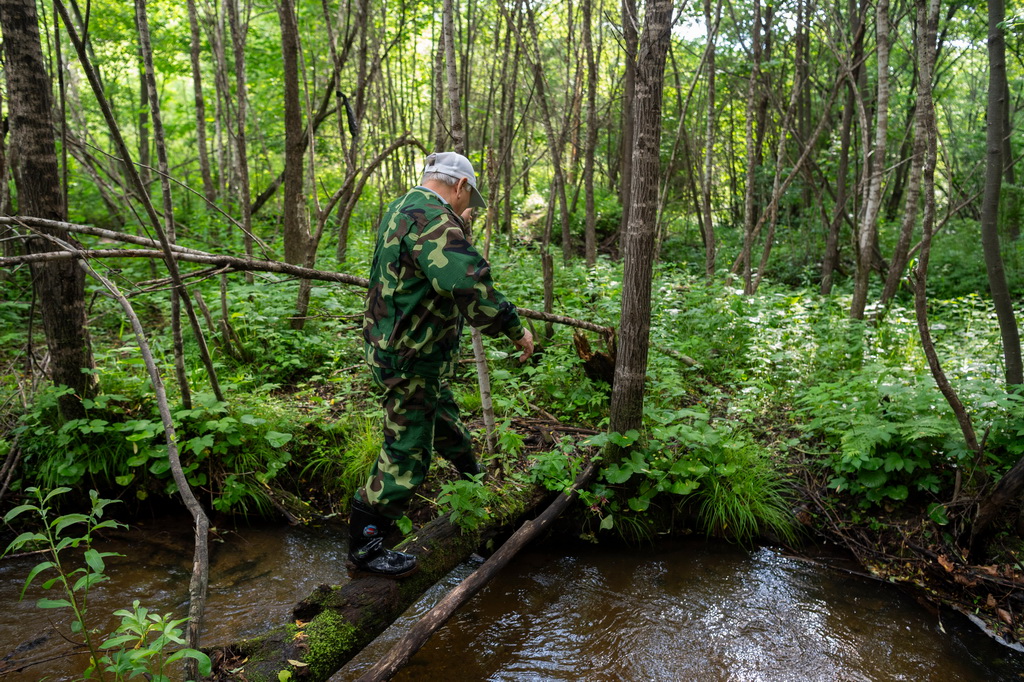 6月17日，在七星山國家森林公園，集賢縣革命老區建設促進會的工作人員在林間尋找東北抗聯遺址。